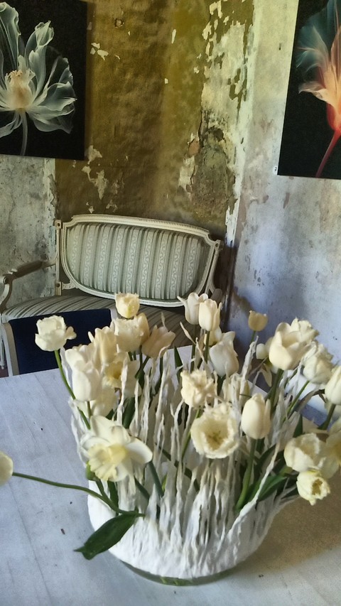 flower, rose wallpapers