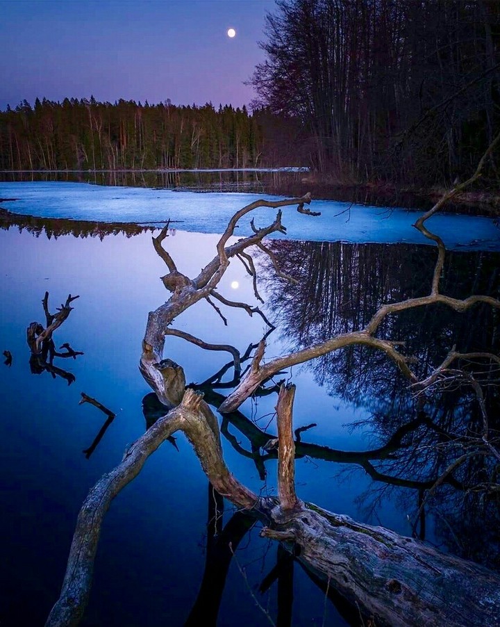 ~
