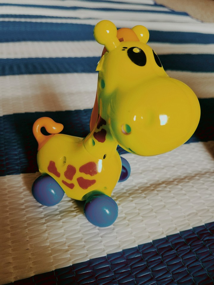 toy