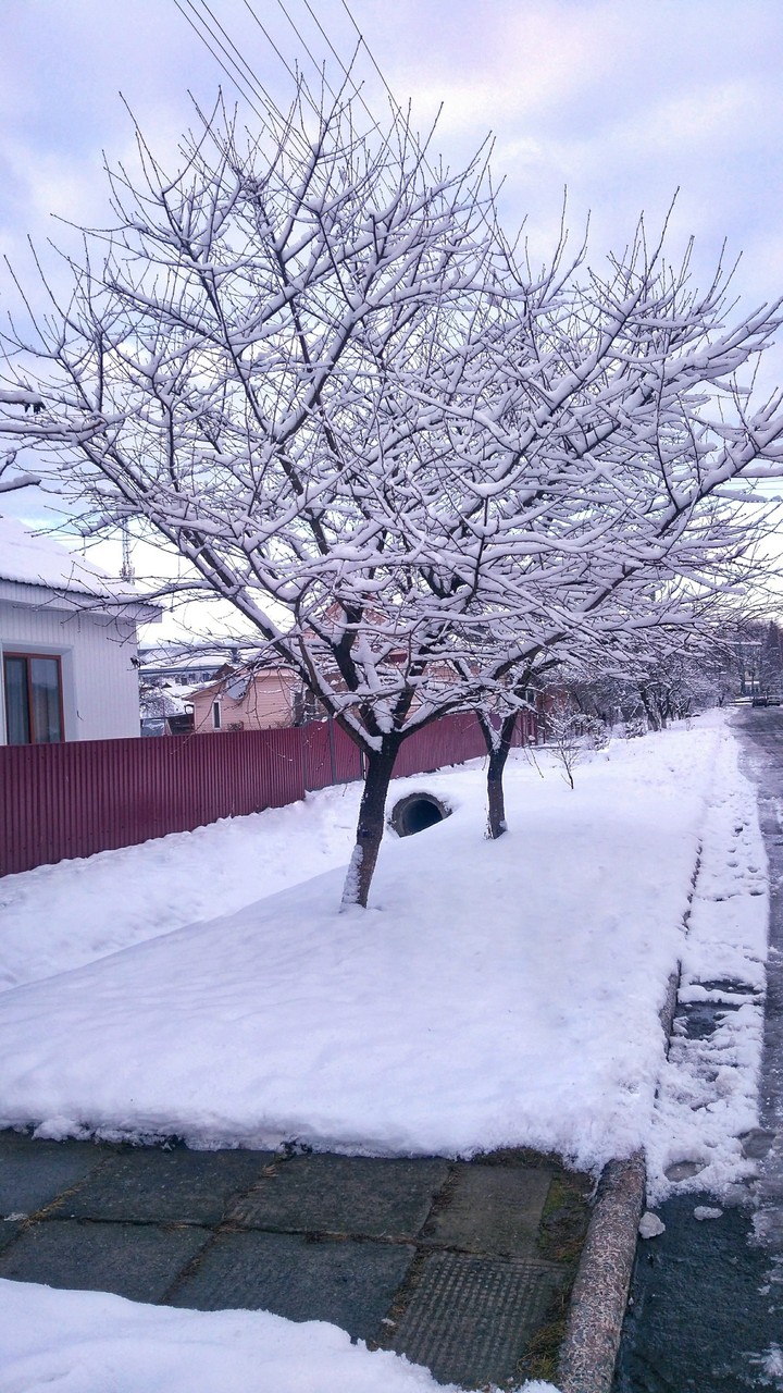 зима