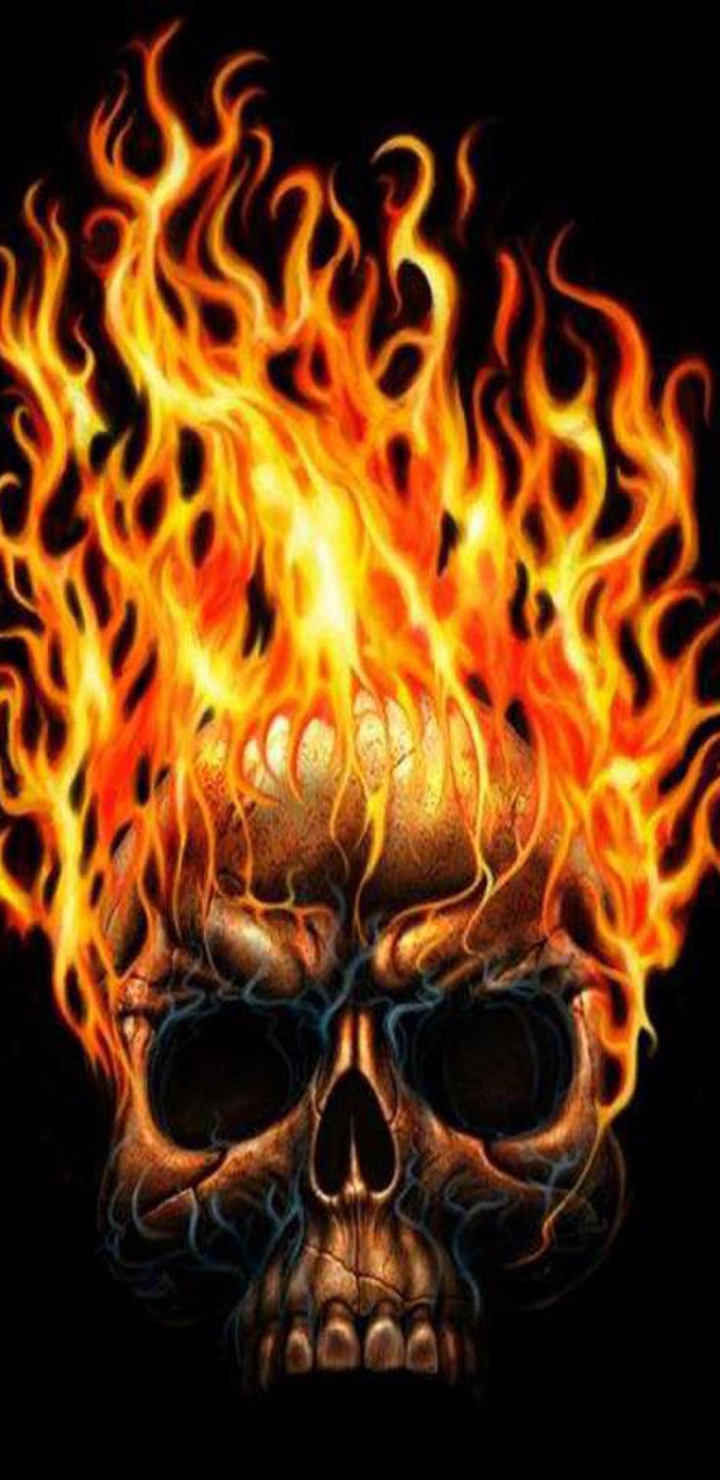 Skull HD