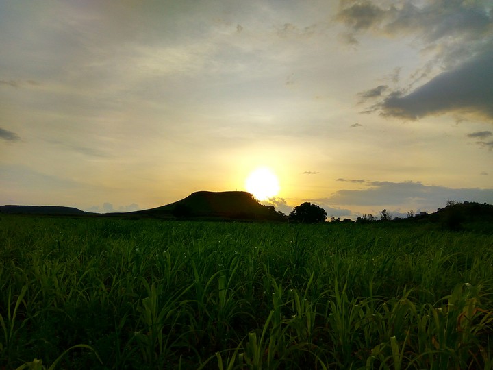 Sunset Lovers