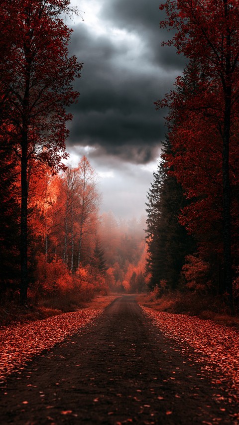 Autumn, 追蹤桌布