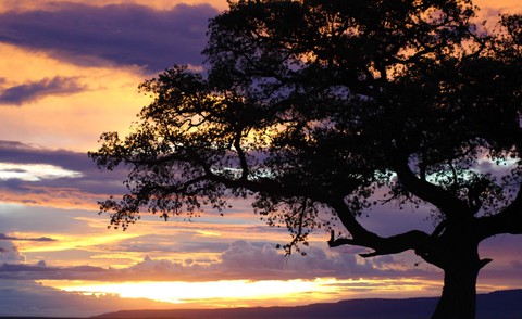 A huey of colours in the sky. Masai Mara