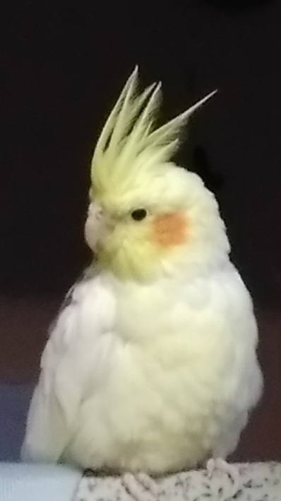.