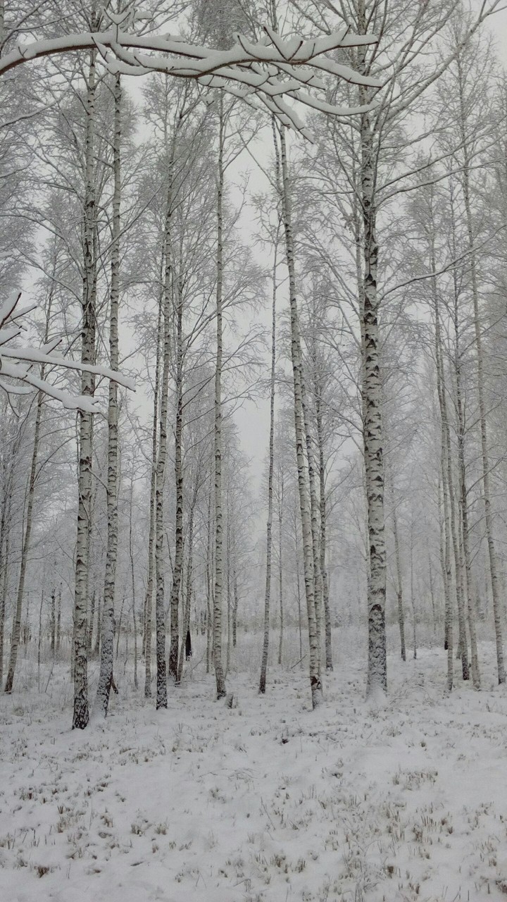Winters snow