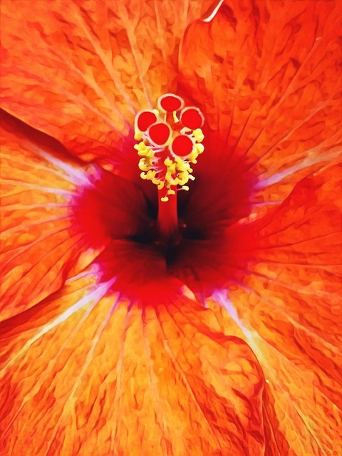 natures colors are vivd.. when humans mind add a color