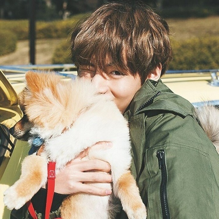 V