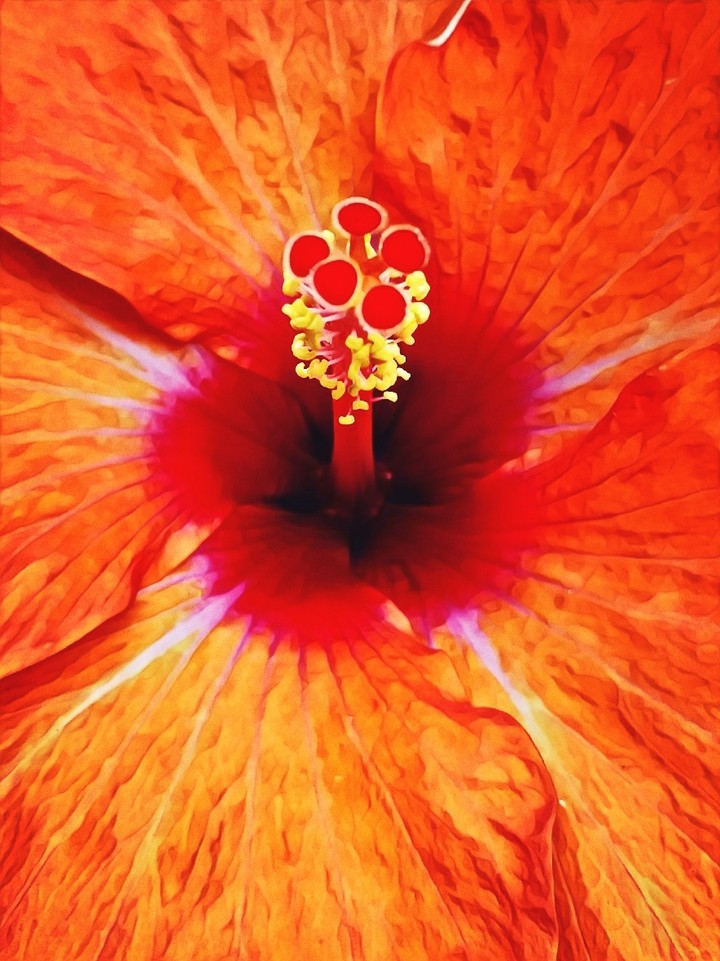natures colors are vivd.. when humans mind add a color