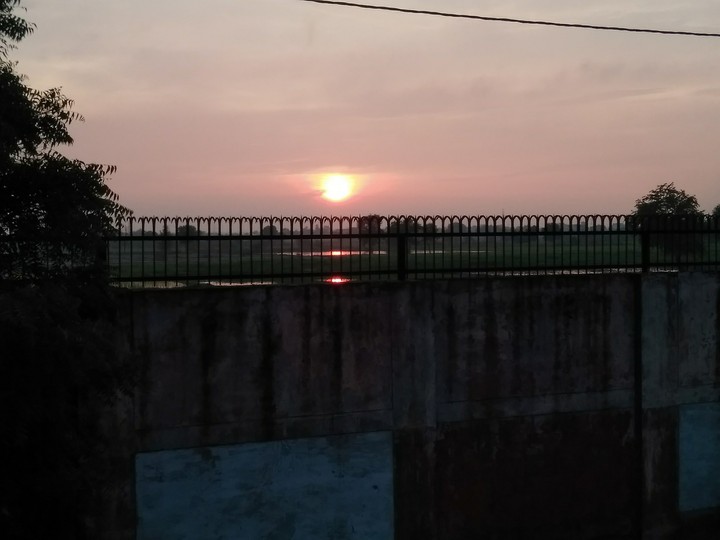 sun sad