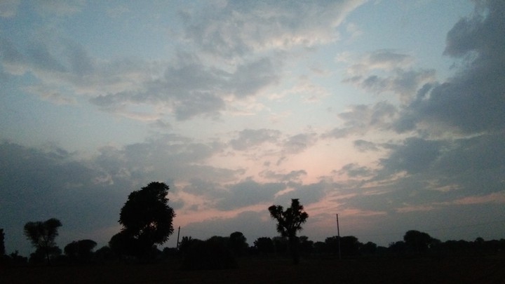 Good morning