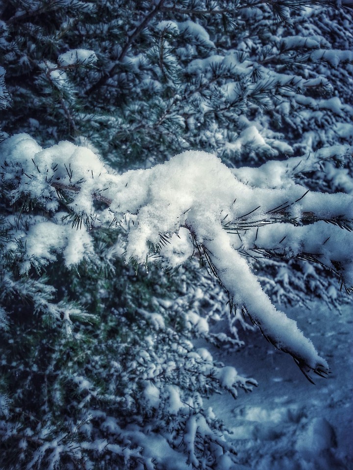 Snow