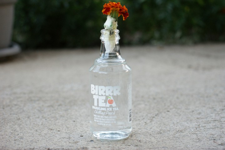 Flower in ,,BIRRR TEA" bottle