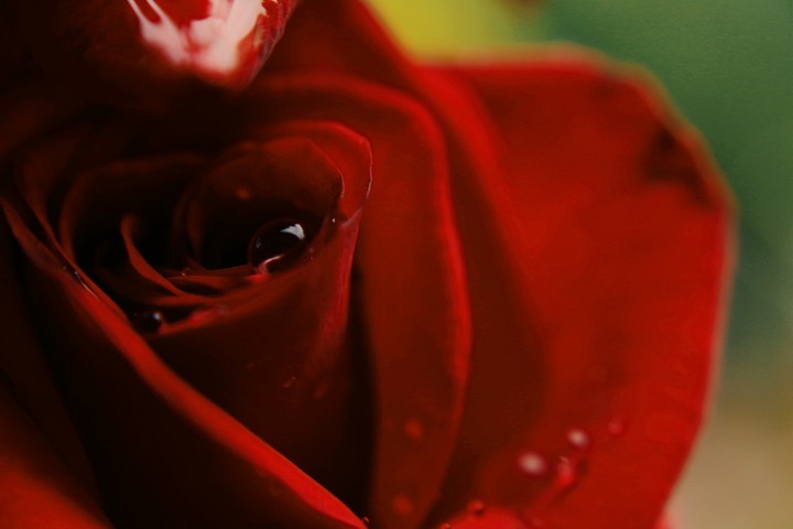 girl flowes