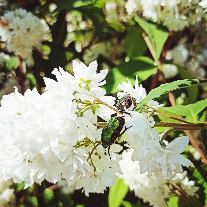 Bzzz