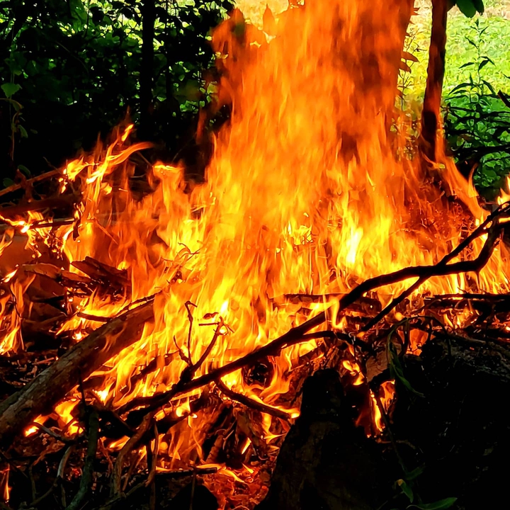 fire