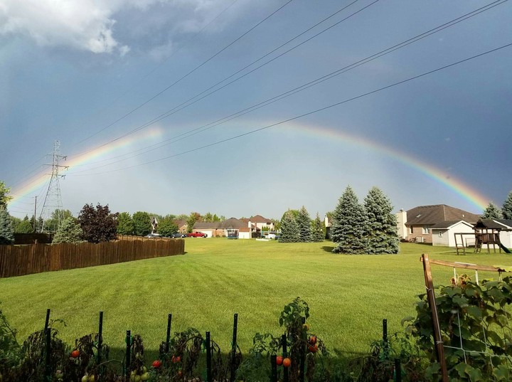 the neighbors unicorn farted