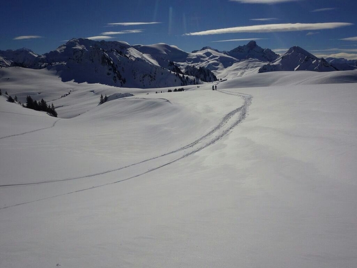 Swiss