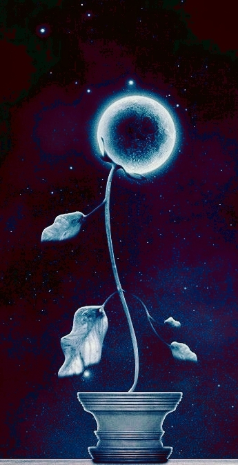 LunaBloom