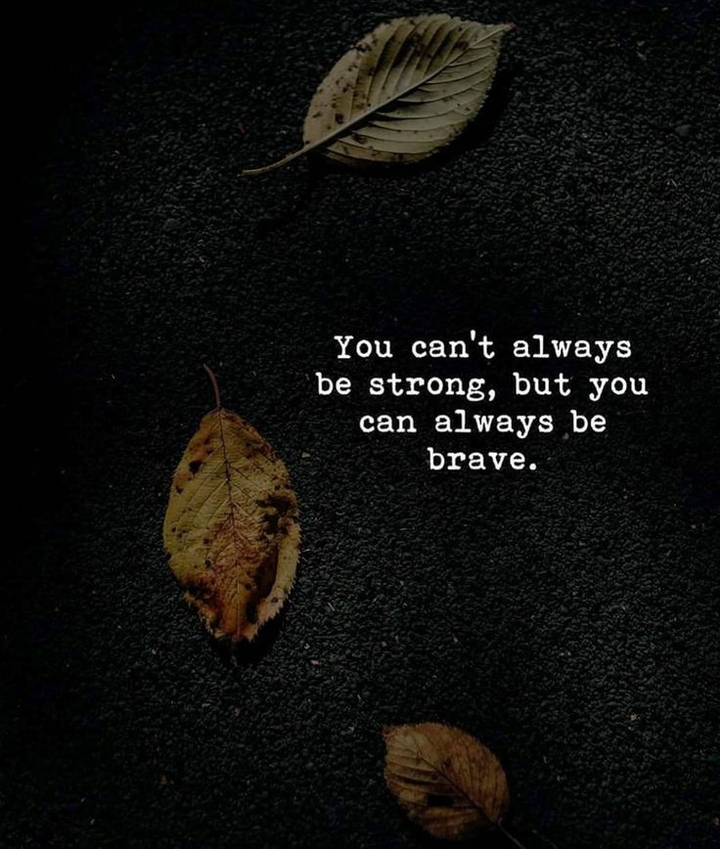 you always brave plz follow me ? and support me for motivat