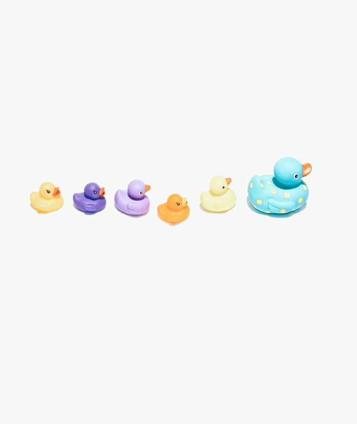 Ducks