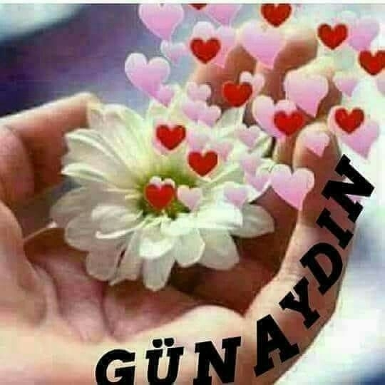 Gunaydin = Good morning = Bonjour