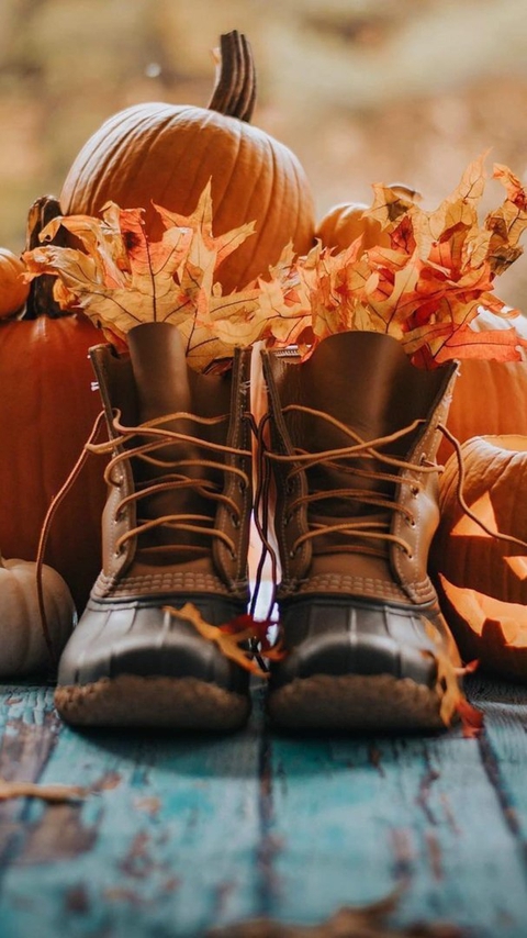 тапети Boot, Shoe