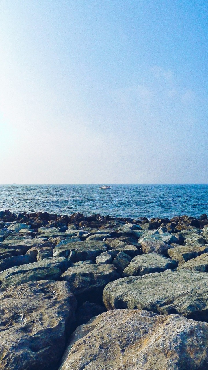 Morning Bliss