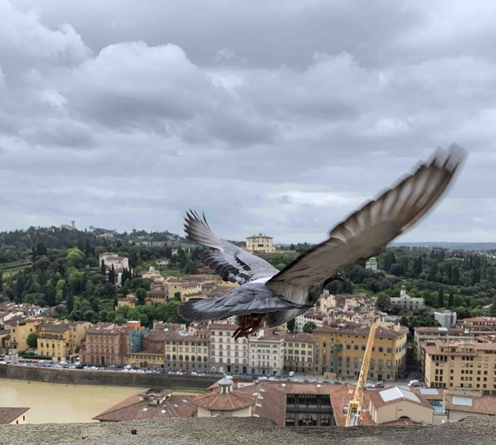 Beautiful Florence