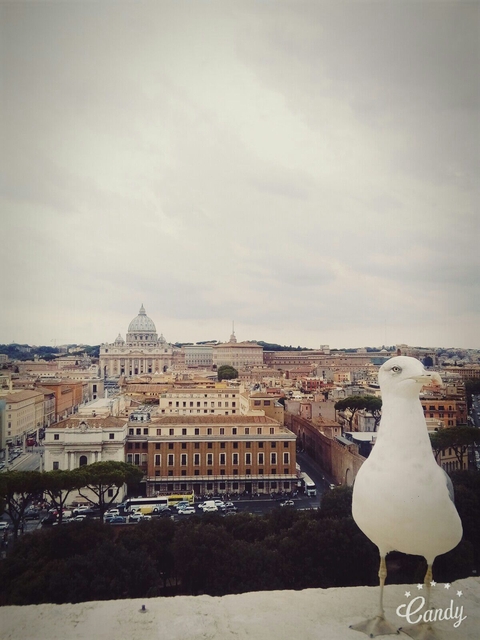 Roma