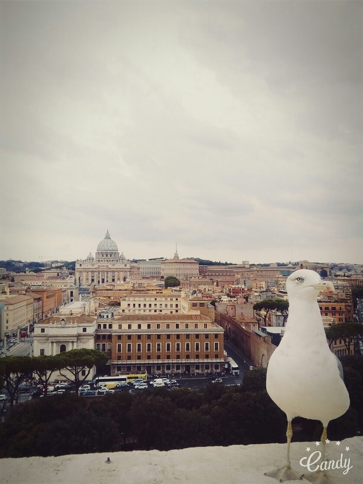 Roma