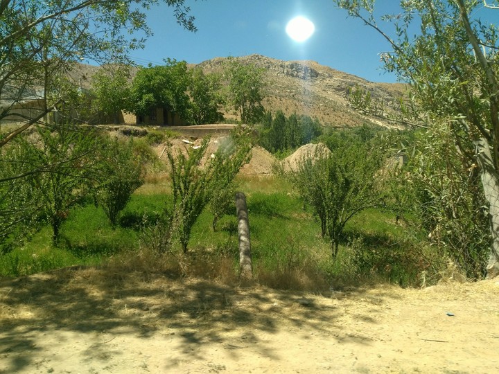 reflection of the sun