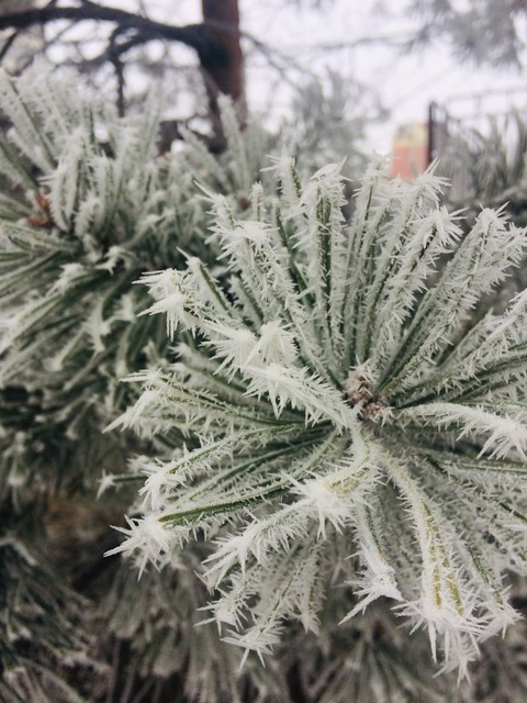 Winter’s Coming