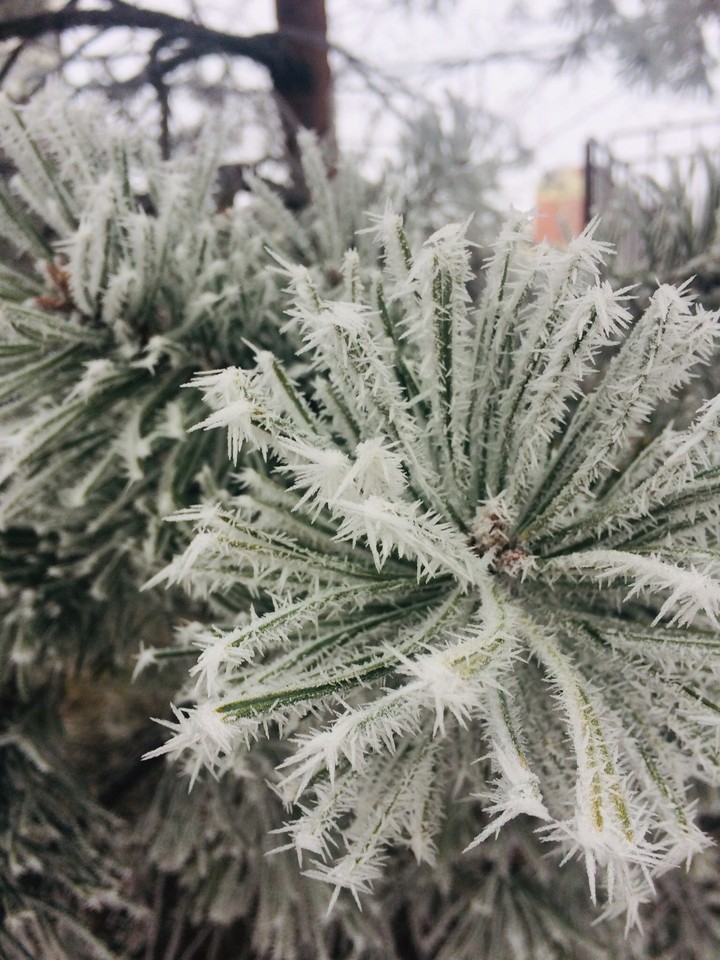 Winter’s Coming
