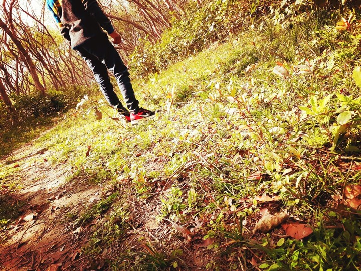 Alone