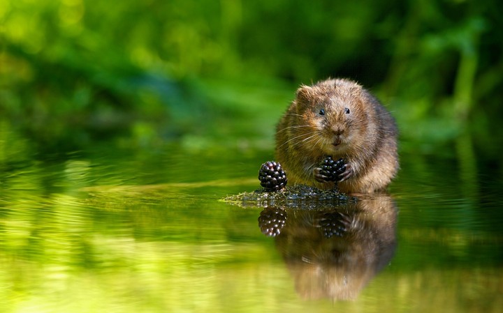 ❤