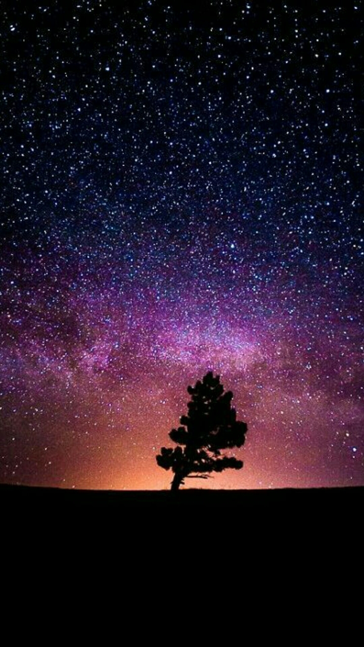 Alone Tree