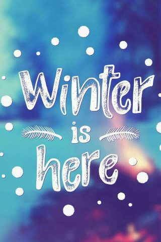 winter❄❄❄
