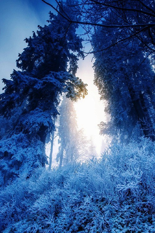 blue