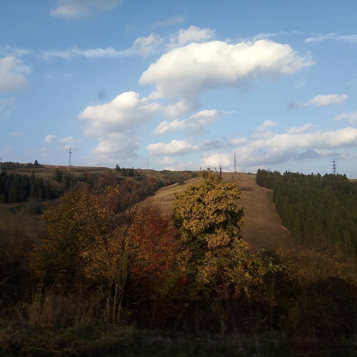 autumn
