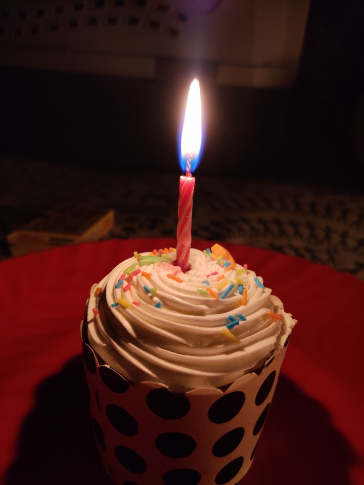 Cup Cake