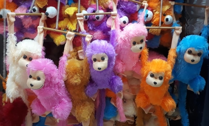 softtoy