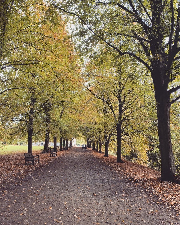 fall