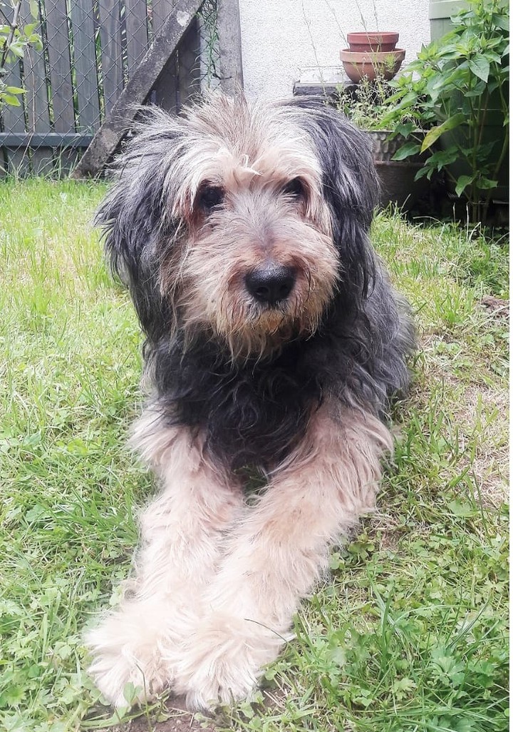 Micki, she died last sunday night, 3 a.m.