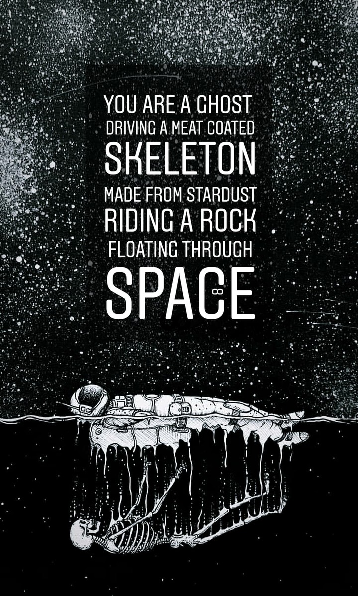 Stardust