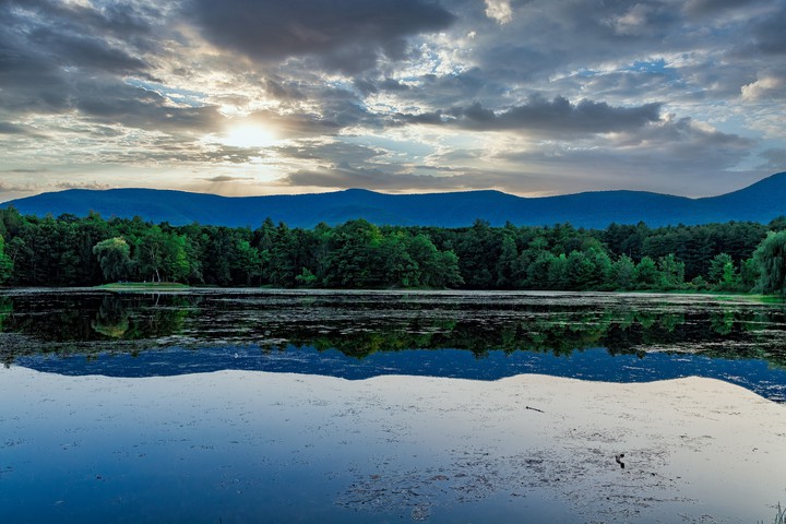 #Hill Water Trees