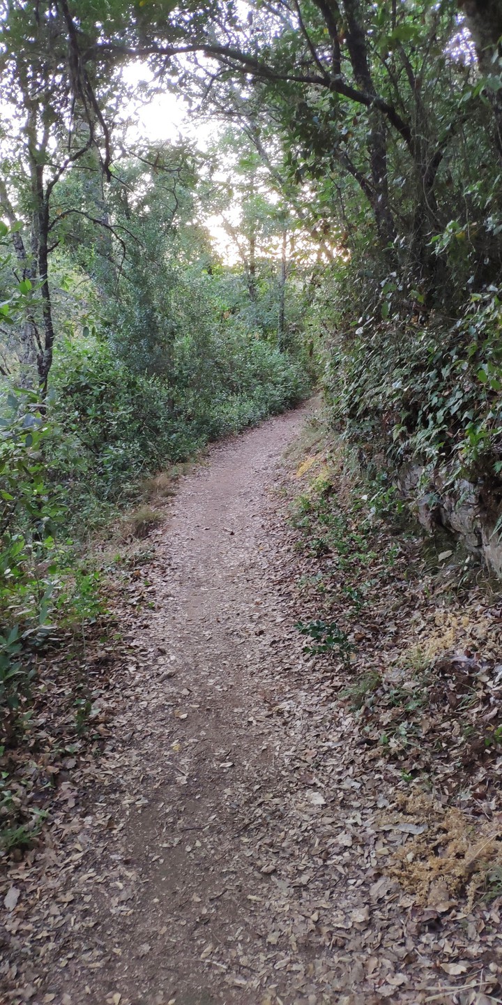 the footwalk