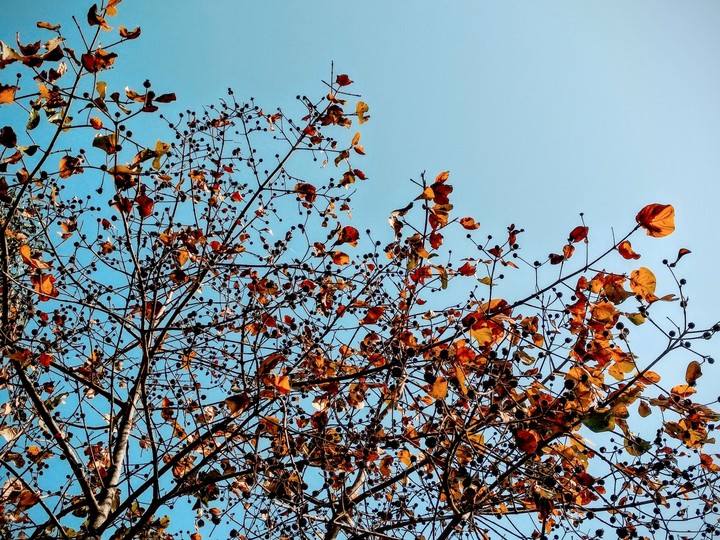 Sky isn't the limit.