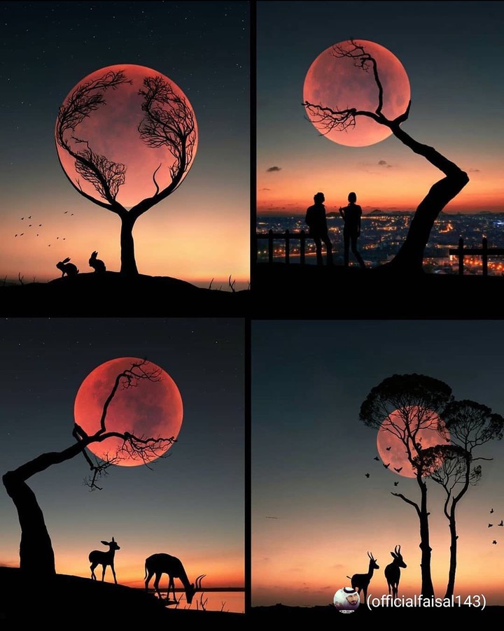(Ɔ ˘⌣˘)♥฿Ɇ₴₮₩₳ⱠⱠ₱₳₱ɆⱤ♥(˘⌣˘ C)