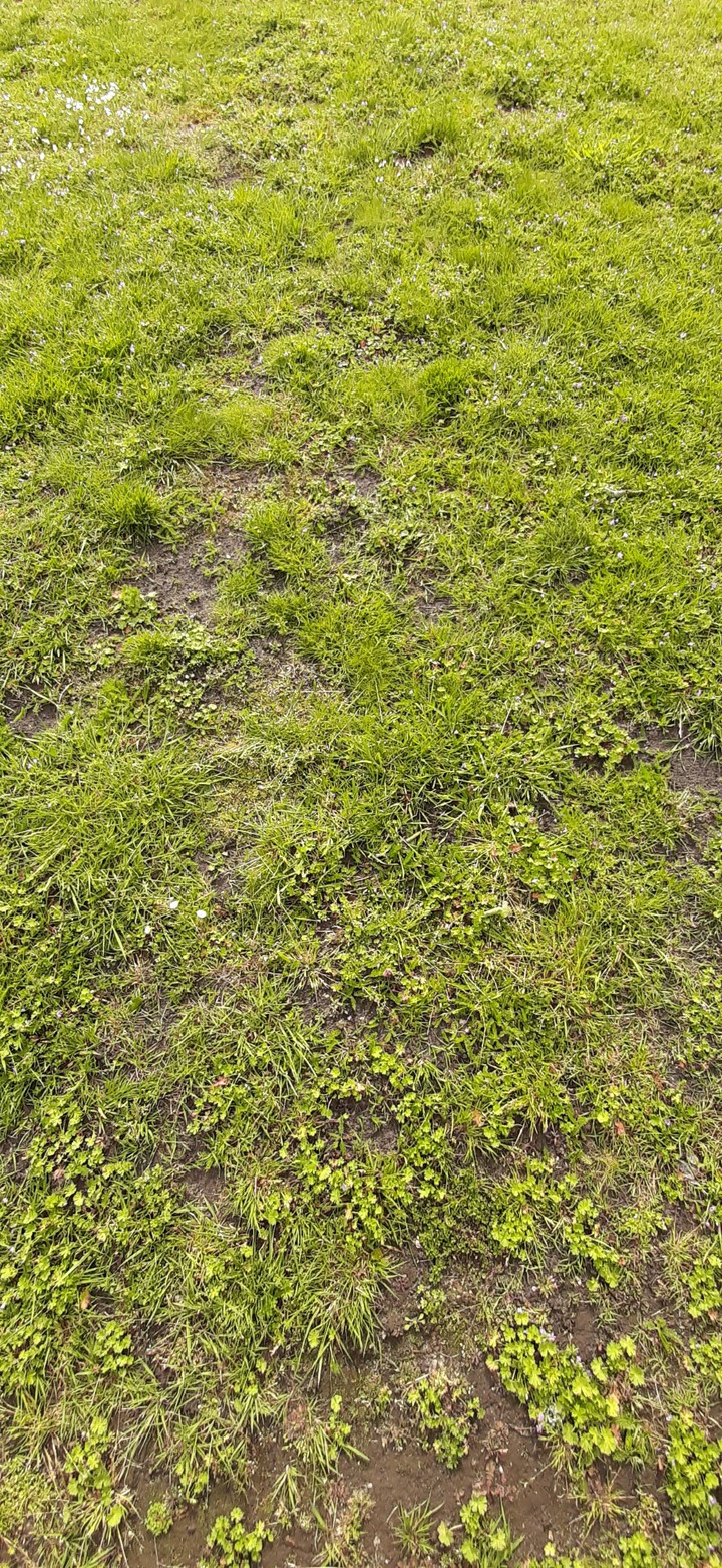 footballfield